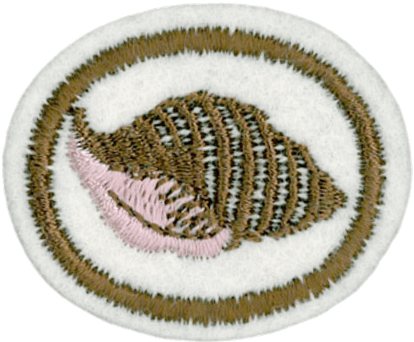 Moluscos