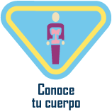 conoce-tu-cuerpo Conoce tu cuerpo