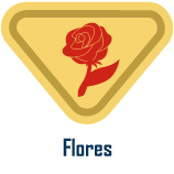 flores Flores