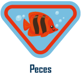 peces Peces