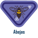 abejas Abejas