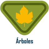 arboles Árboles