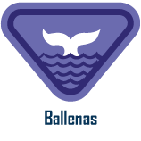 ballenas Ballenas
