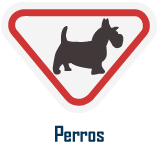 perros Perros