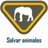 salvar-animales Salvar animales