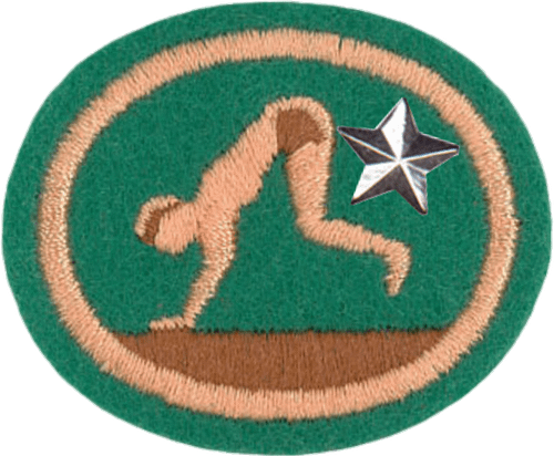 tumbling-advanced_orig Gimnasia avanzada