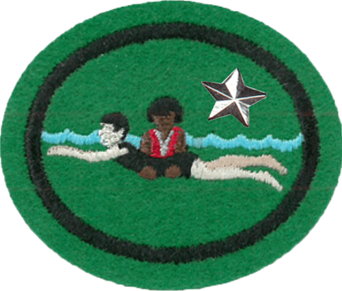 water-safety-instructor-advanced_orig Instructor de seguridad en el agua avanzado