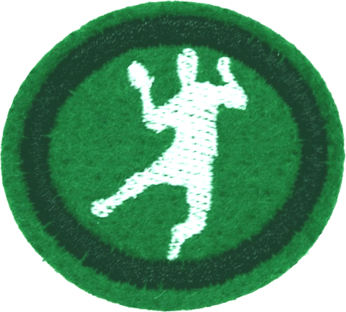 balonmano_orig Balonmano